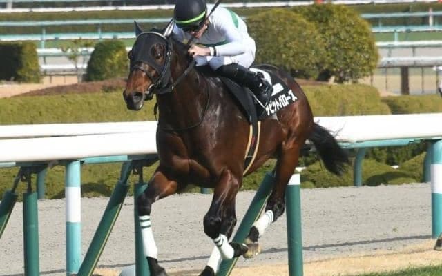 【AI予想・函館記念】前走で重賞に出走した馬に良績が集中！ 本命候補は待望の初タイトルを狙う3頭