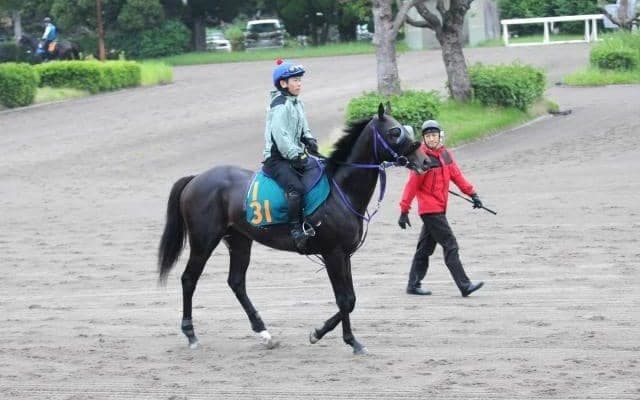 一族には桜花賞馬ハープスターも 福島で初陣Vを目指すマックスキュー/関東馬メイクデビュー情報