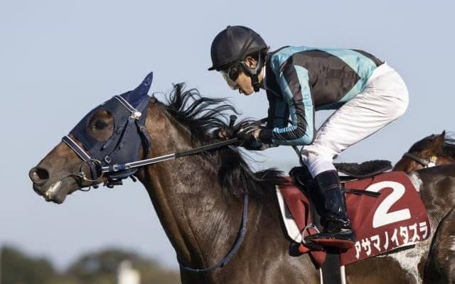 【先週のJRA抹消馬】21年のセントライト記念を制したアサマノイタズラ、芝短距離で活躍のトキメキなど