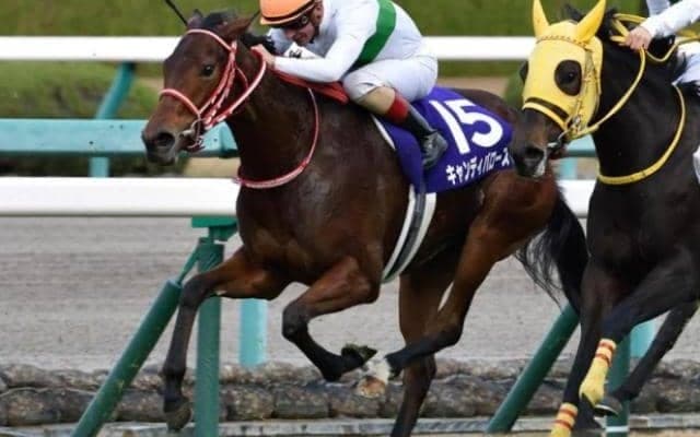 種牡馬エピファネイア注目の一戦!? 函館2歳Sで初のスプリント重賞制覇狙う