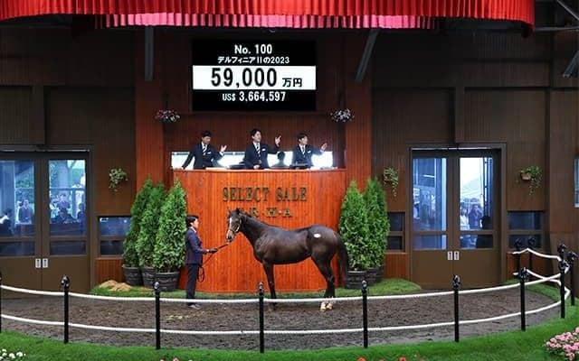 【セレクトセール2024】前年比8.4％増で歴代最高の約145億円を売り上げ大盛況 億超えは32頭/1歳セッション