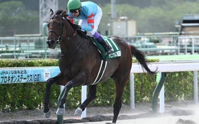 ヤマニンウルスが無傷5連勝で重賞勝利 大きな馬体の中にみなぎるパワーは母譲り