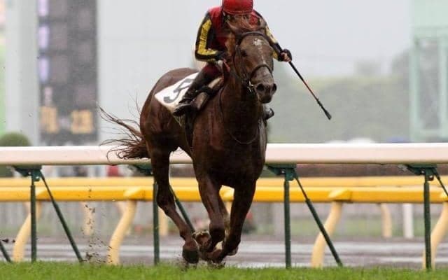 ローカル開催で積極的に狙いたい種牡馬は？ 開催別成績を比較してみた