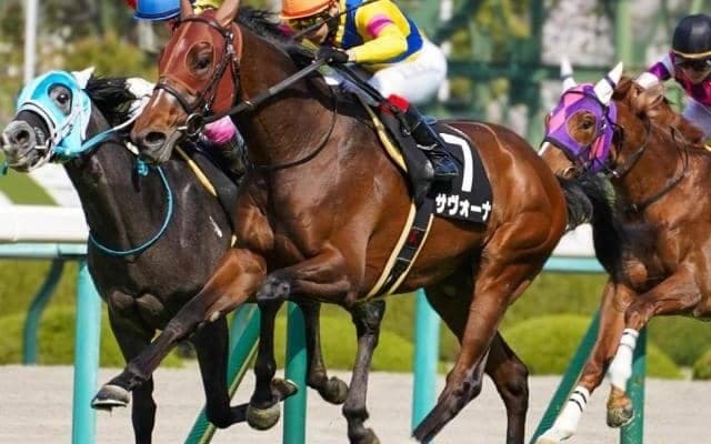 GIIで2着2回の実績馬 函館記念で待望のタイトル獲得なるか