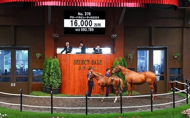 【セレクトセール2024】グローバルビューティの2024は1億6000万円 「ダノン」の冠名で知られる(株)ダノックスが落札