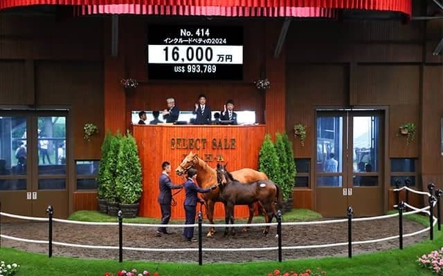 【セレクトセール2024】インクルードベティの2024は1億6000万円 ミスタージーティーなどを所有の田畑利彦氏が落札