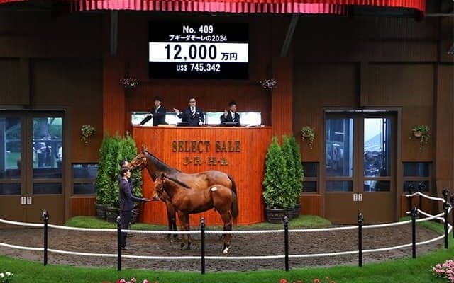 【セレクトセール2024】ブギーダモーレの2024は1億2000万円 「ポッド」の冠名で知られる小川眞査雄氏が落札