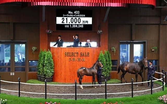 【セレクトセール2024】シーウィルレインの2024は2億1000万円 「アスク」の冠名で知られる廣崎利洋HD(株)が落札