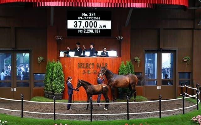 米G1馬の仔を廣崎利洋氏が3億7000万円で落札 矢作調教師は「オーナーとダービーを獲りたい」