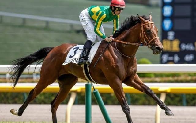 【函館2歳S予想オッズ】サトノカルナバルが予想1番人気