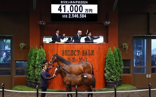 【セレクトセール2024】2日間の総売上は289億円超で歴代最高 当歳の最高額は4億1000万円/当歳セッション