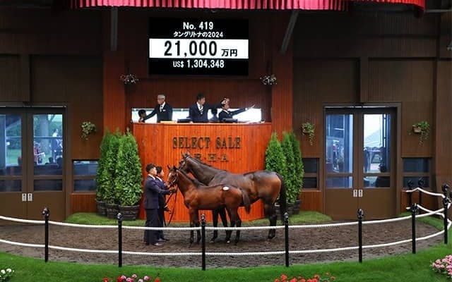 活気あふれたコントレイル、フライトラインら「未知の魅力」 売上レコードを記録したセレクトセールを回想