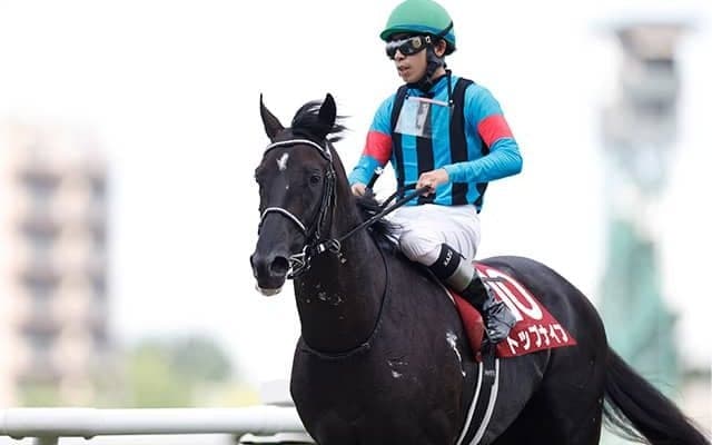 近親に名馬テイエムオペラオー 函館記念参戦のトップナイフが悲願の初タイトル狙う