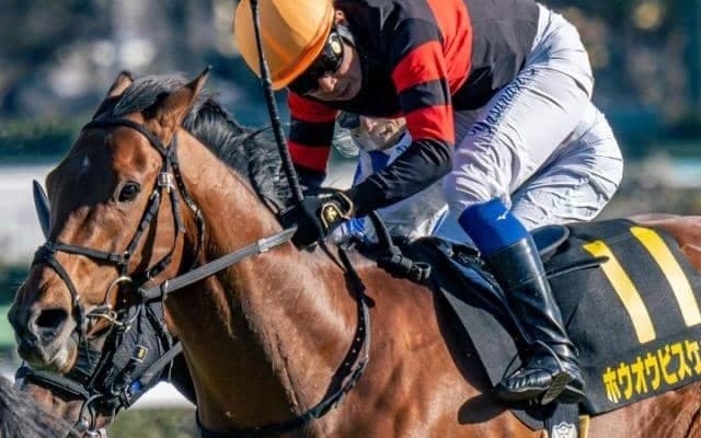 最大の敵は長年破られないジンクス!? 昨年のダービー6着馬が巴賞から連勝狙う