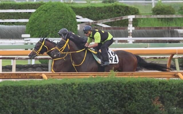 ビヨンドザファザー、マーキュリーC最終追い切り速報/栗東トレセンニュース