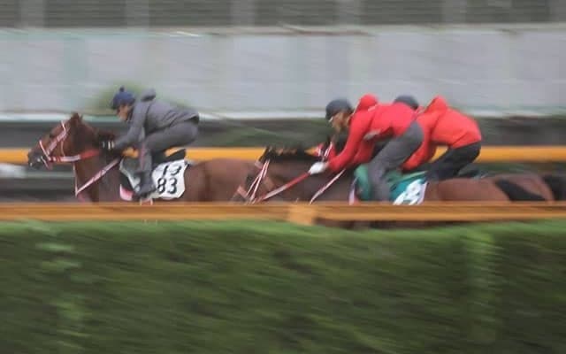 テンカハル、マーキュリーC最終追い切り速報/栗東トレセンニュース