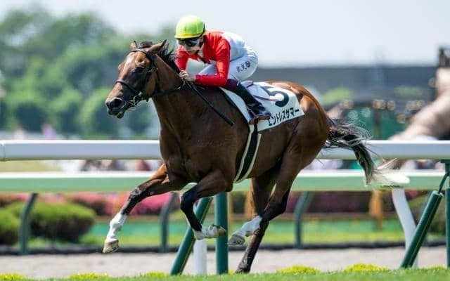 【函館2歳S出走馬・騎手確定】エンドレスサマー＆横山和生騎手、サトノカルナバル＆佐々木大輔騎手など14頭