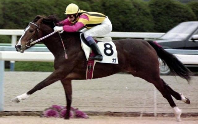 4代母ベガなど一族に名馬ズラリのサートゥルナーリア産駒 デビュー戦から魅せる