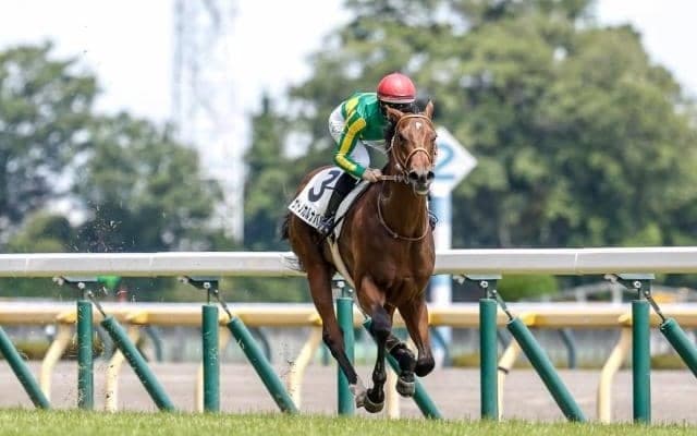 【函館2歳S枠順確定】サトノカルナバルは5枠7番、エンドレスサマーは1枠1番