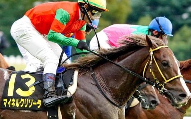 母の父は海外G1・4勝 血を引く数少ない現役馬が初の重賞制覇なるか