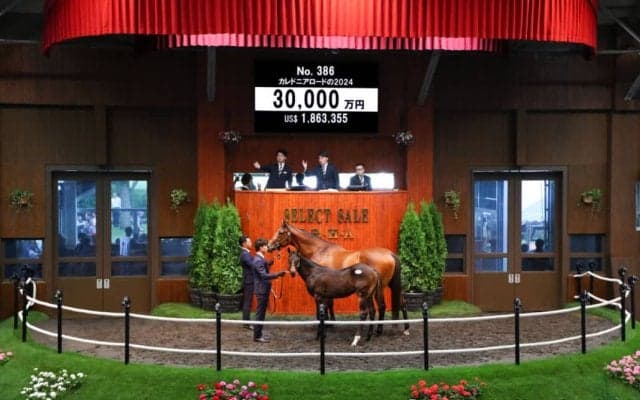 【セレクトセール2024】コントレイル産駒が3億円…（株）ダノックスが落札