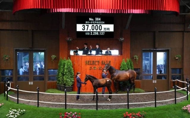 【セレクトセール2024】エピファネイア産駒が3億7000万円…廣崎利洋HD（株）が落札
