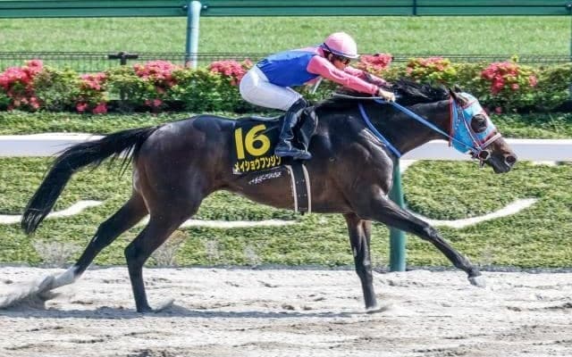 【盛岡・マーキュリーC枠順】重賞初制覇かかるメイショウフンジンは1枠1番、3連勝中のロードアヴニールは4枠5番
