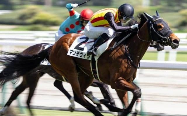 きょうだいはGI・2勝馬など多数活躍 その妹が不知火特別で連勝狙う