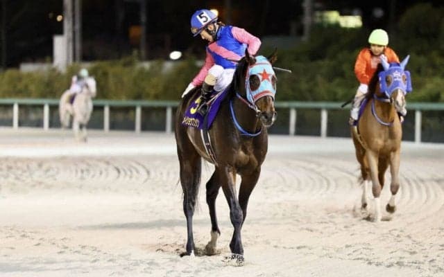 【マーキュリーカップ】メイショウフンジンは1枠1番