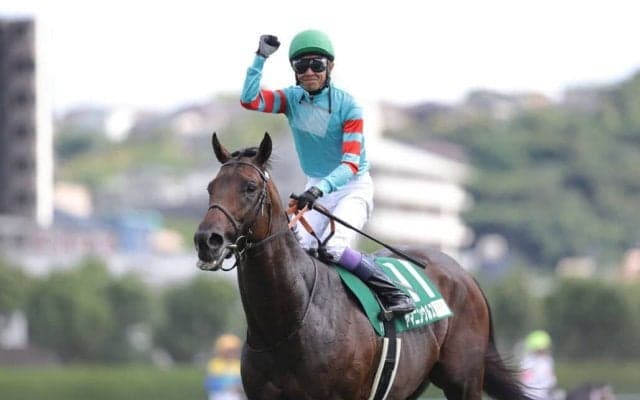 【武豊日記】熱戦をお楽しみください