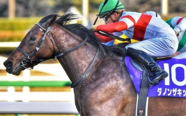 20年ホープフルS覇者の全弟 兄に続く新馬勝ちに向けて態勢万全