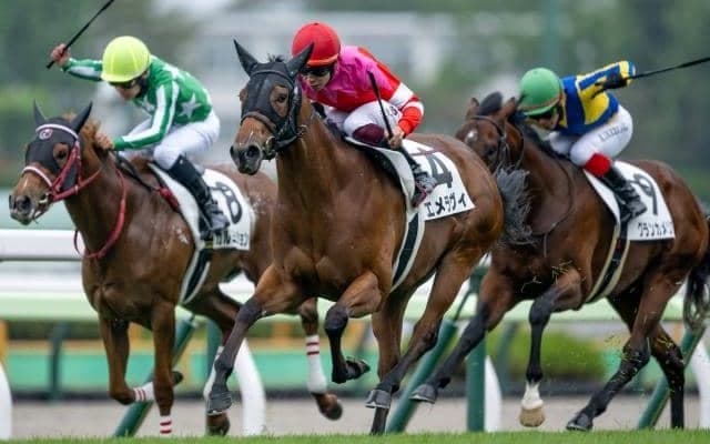 【函館2歳S予想】JRA最初の世代重賞 暮れのGI目指して勝ち名乗りをあげる馬は