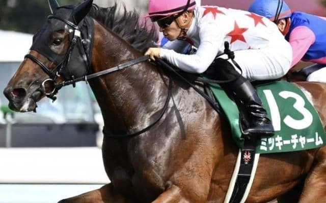 重賞2勝ミッキーチャームの初仔 既走馬相手にデビューVなるか