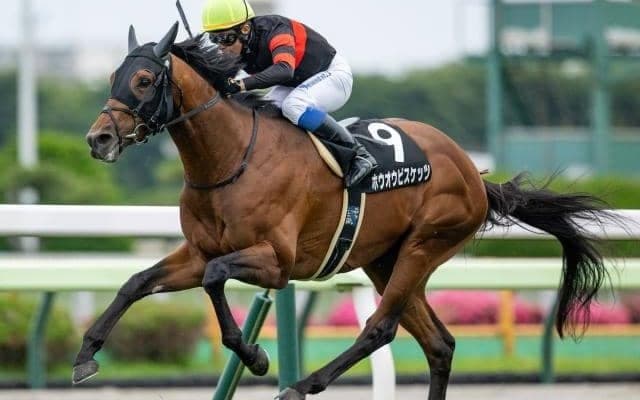 【AI予想・函館記念】今夏の重賞では4歳馬に注目!? 本命は重賞未勝利もGIレベルのポテンシャルを秘める逸材