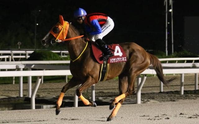 【兵庫サマークイーン賞】金沢ハクサンアマゾネスが29勝目…吉原「馬に頭が上がりませんね」