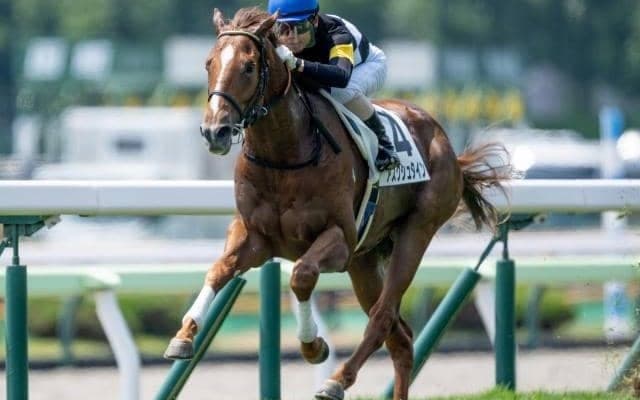 【函館5R新馬戦結果】ドゥラメンテ産駒アスクシュタインが逃げ切り勝ち