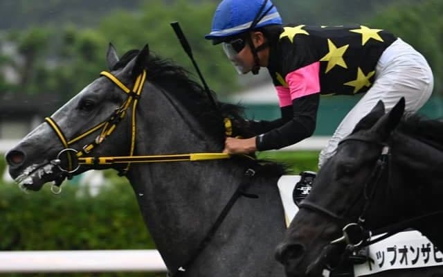 【小倉5R新馬戦結果】エピファネイア産駒トップオンザヒルがV 7頭立てのシンガリ人気