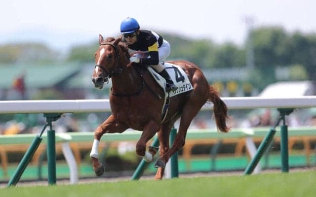 【新馬/函館5R】ドゥラメンテ産駒 アスクシュタインがデビュー勝ち