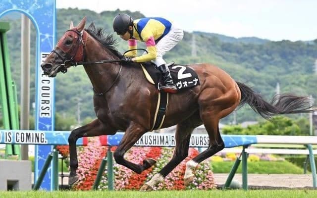 【函館記念・馬体重】サヴォーナは530kg(-2)、ホウオウビスケッツは506kg(-4)