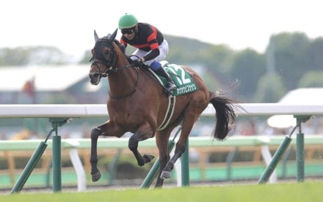 【函館記念】ホウオウビスケッツが重賞初制覇