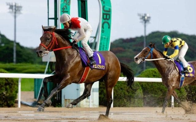 【佐賀王冠賞】アエノブライアンが断然の支持に応える…山口勲「ホッとしています」