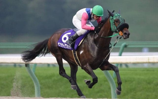 【盛岡・やまびこ賞】サクラトップキッドが5馬身差圧勝…高橋悠「本当に嬉しい」