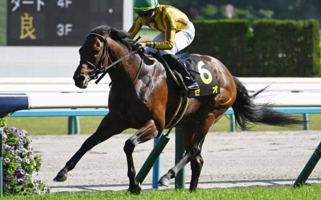 【中京記念見どころ】連勝で臨むセオの勢いに注目だ