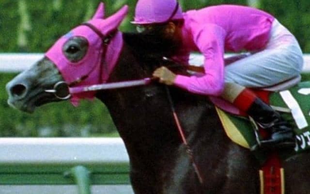 7月15日は世界ありがとうの日 「サンキュー」と名が付く馬は数多く