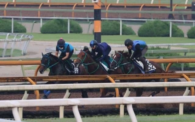 GI・2勝で種牡馬としても活躍中スワーヴリチャードの姪 セレーネアステールが小倉で初陣へ/関西馬メイクデビュー情報