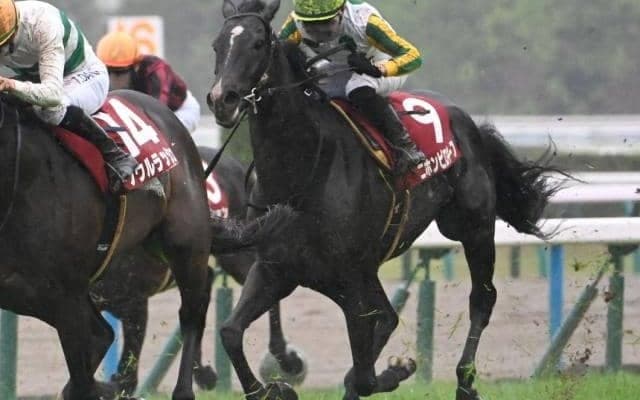 【AI予想・中京記念】年齢別では5歳馬が圧倒的な良績を残す！ 条件好転で反撃必至の本命候補