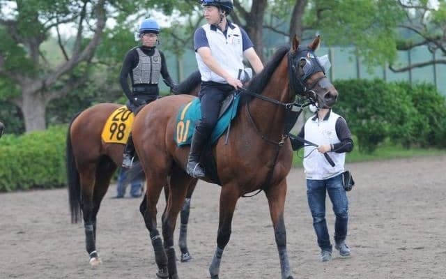母は牝馬重賞路線で活躍のタッチングスピーチ 良血馬ヴィジョンメーカーが福島で初陣/関東馬メイクデビュー情報