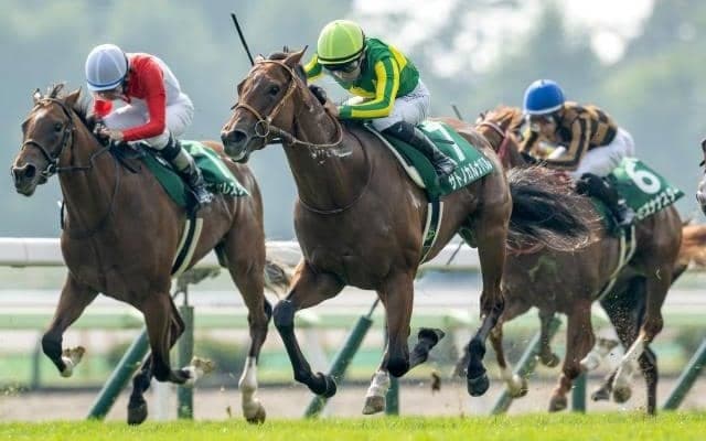 世代最初の重賞勝ち星を手にしたサトノカルナバル 血統背景には名だたるGI馬との共通点も