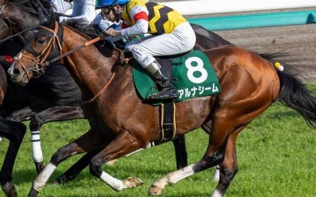 叔父にGI馬が2頭いる良血馬 中京記念で待望の初タイトルなるか