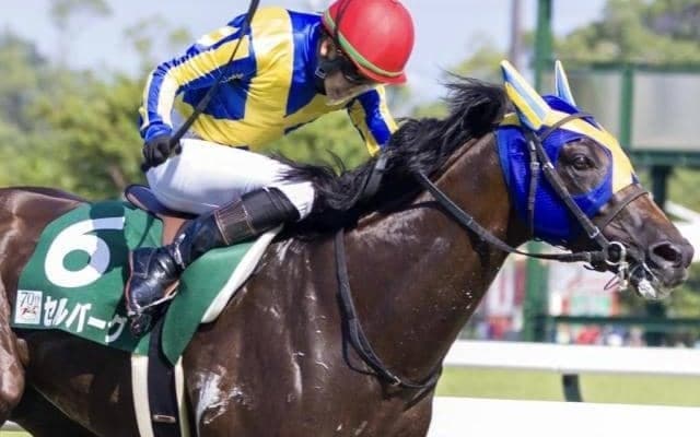 11年ぶり史上2頭目の快挙達成なるか 中京記念で昨年覇者が連覇狙う